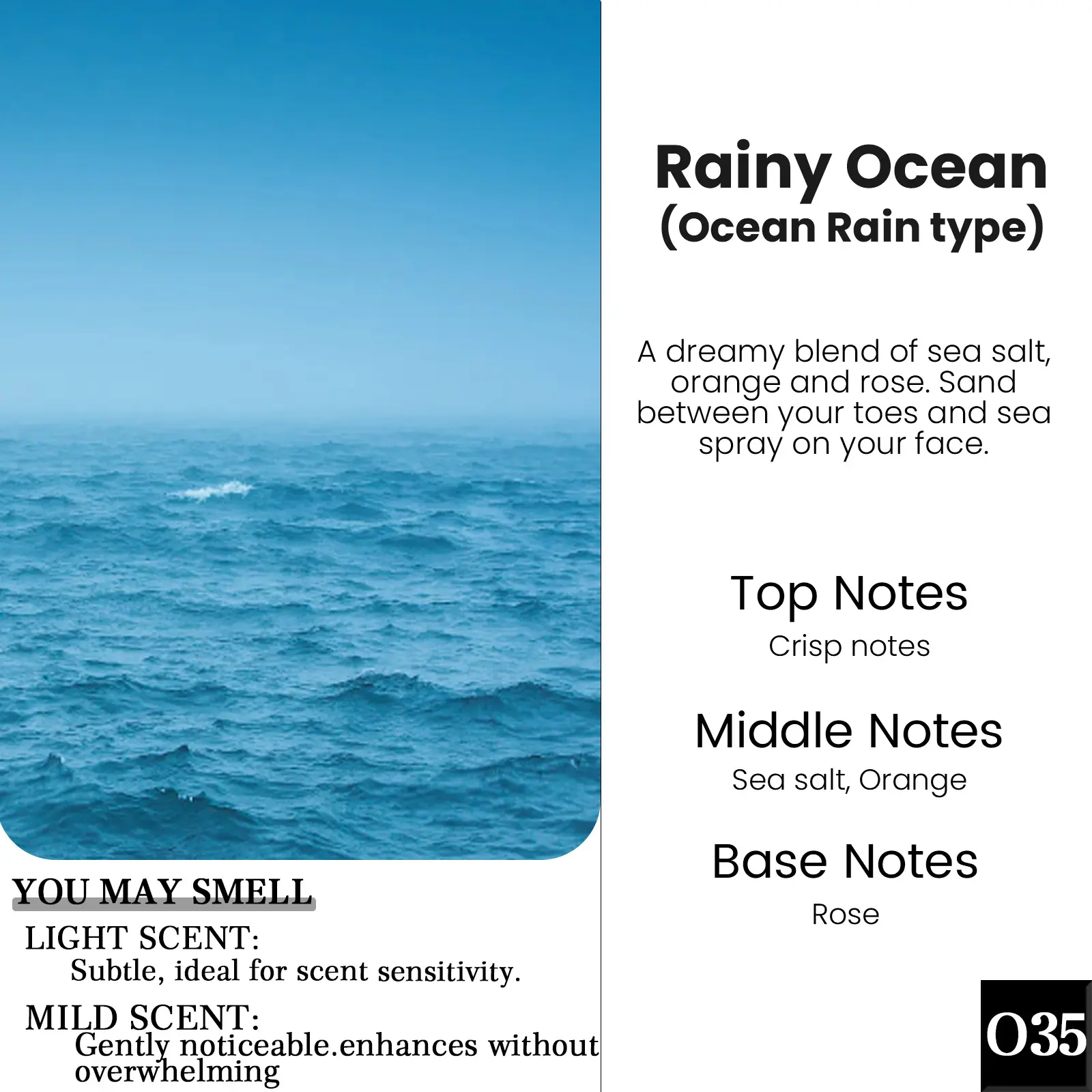 O35- Rainy Ocean(Ocean Rain Type)