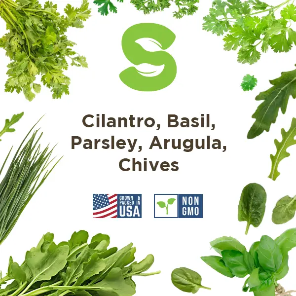 Heirloom Herb Seed Starter Set 5 Varieties of Herb Seeds CIlantro, Basil, Parsley, Arugula, Chives