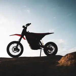 In 10 Ebike