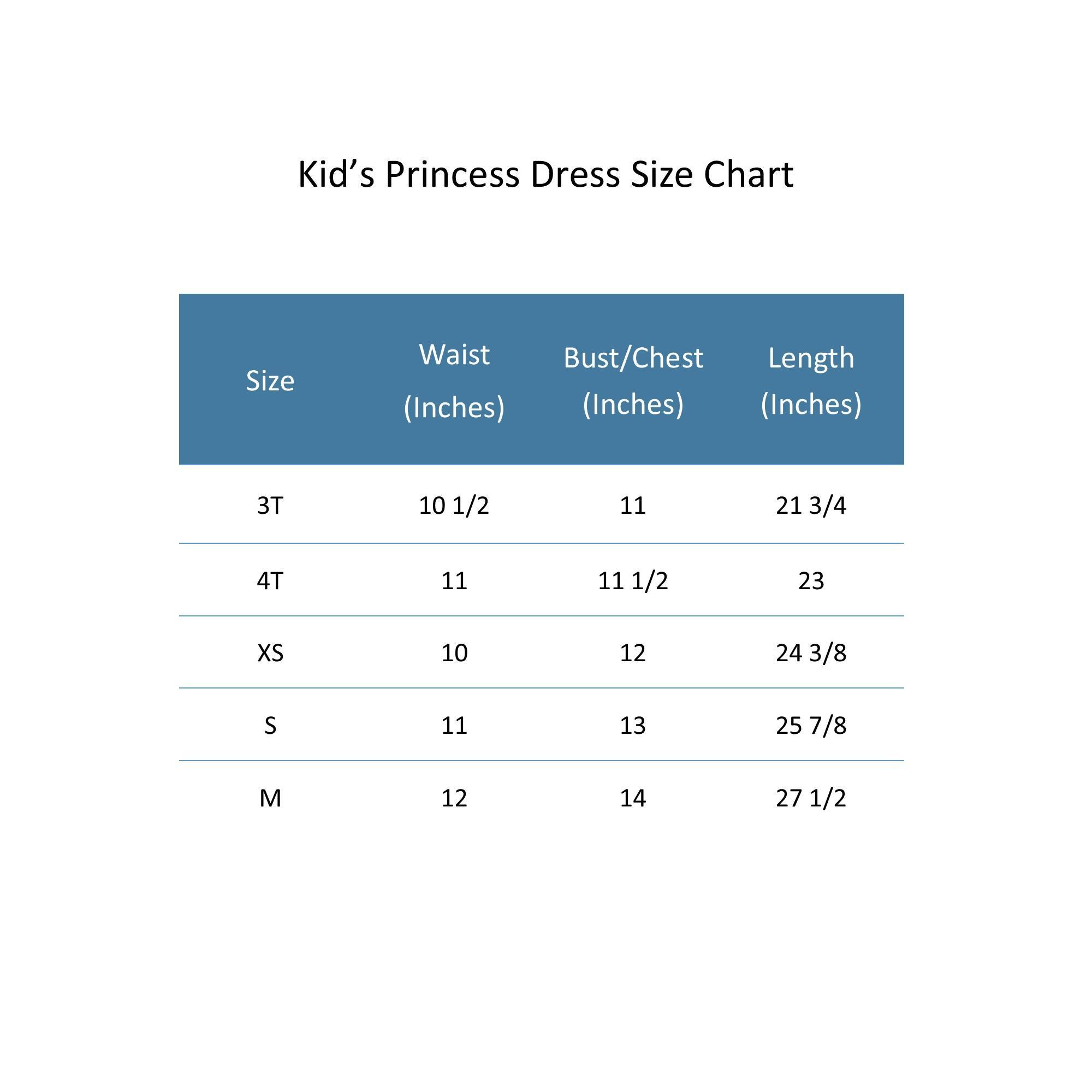 Jerry Leigh Toddler Girl's Disney Frozen Elsa Princess Cosplay Tutu Dress