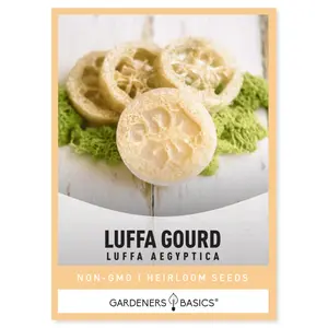 Luffa Gourd Seeds For Planting Grow Your Own Loofa Sponge Squash in Your Home Garden.
