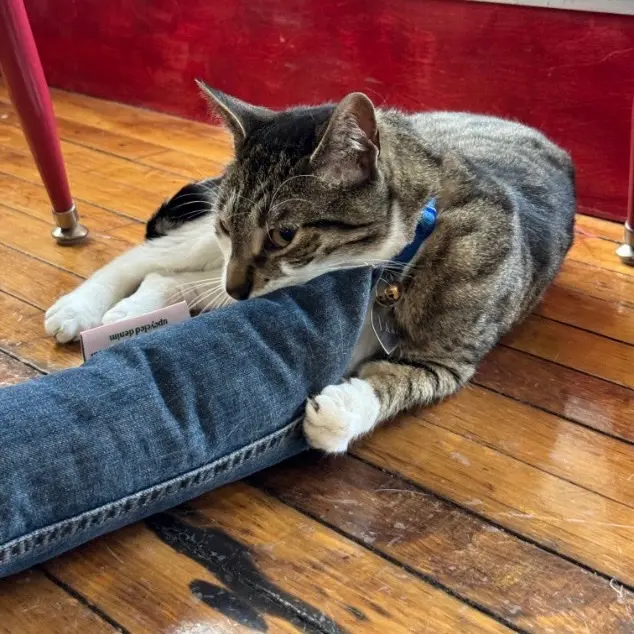 XL Denim Catnip Noodle - Upcycled and Handmade