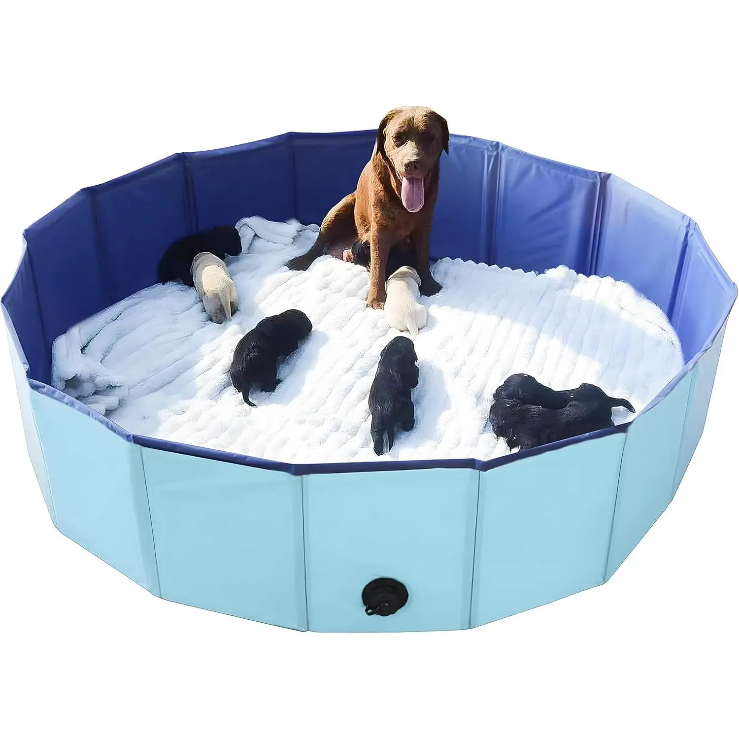 Artilife Whelping Box for Dogs Welp Box Whelping Pool,Puppy Whelping Pen for Puppies,Birthing for Dogs (inch Dia.xinch H(xcm), Blue)
