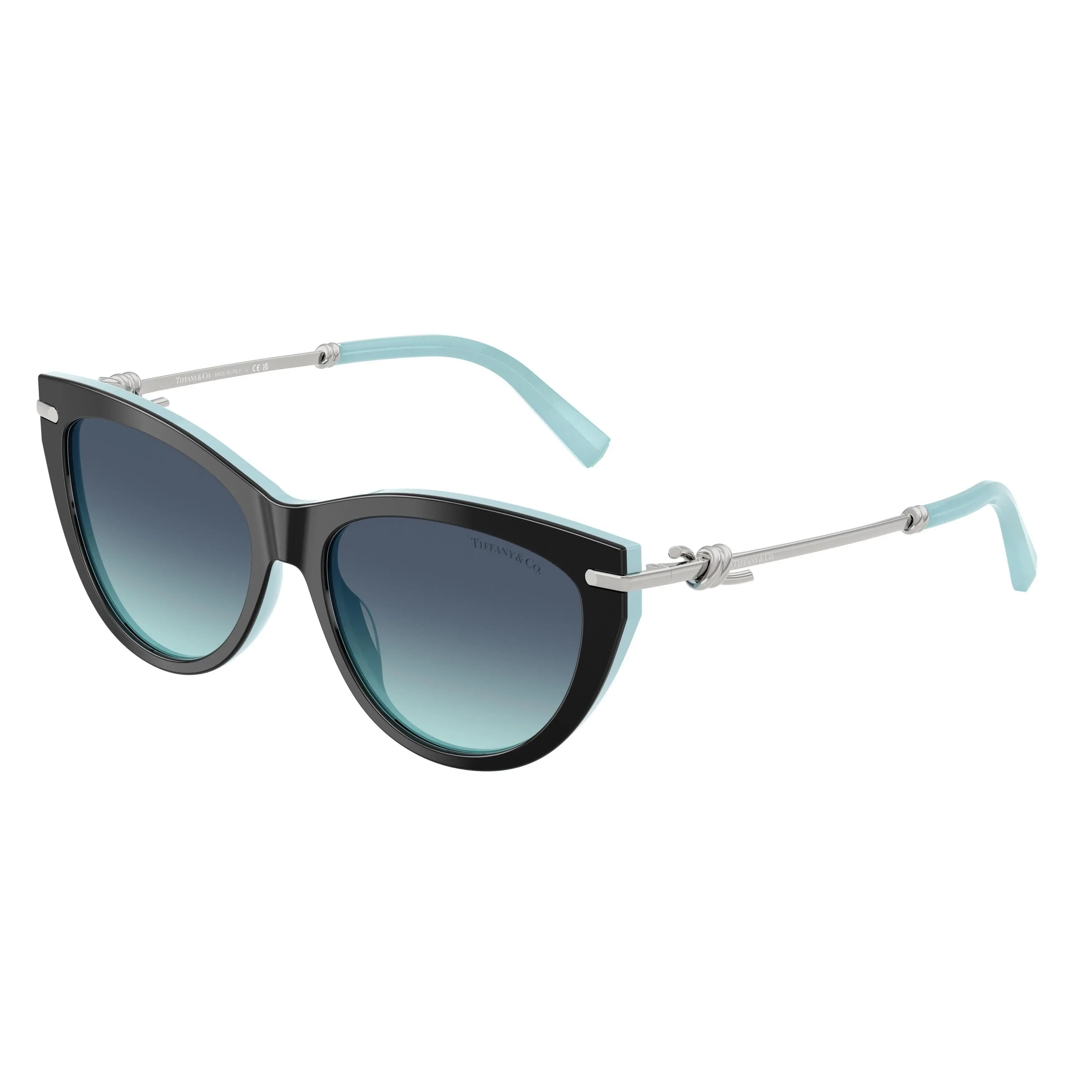 Tiffany 4253F Sunglasses