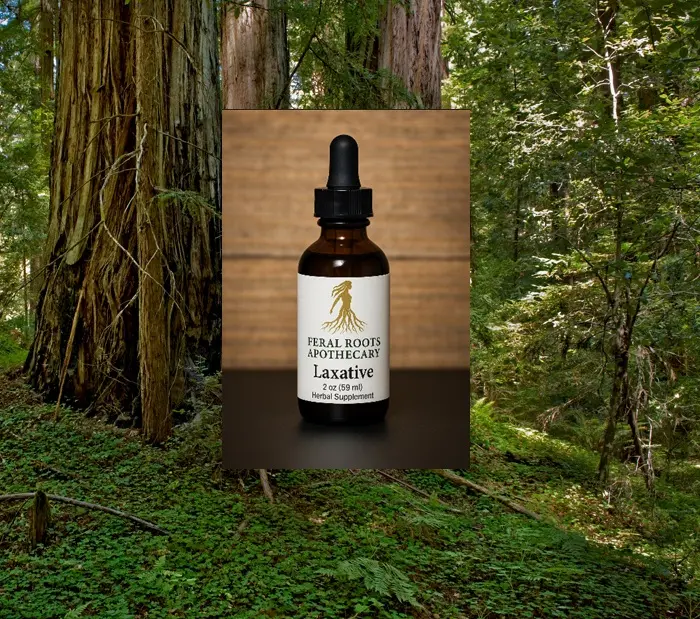 Healing Soul Warrior Laxative Tincture - Gentle Root-Powered Relief for Backed-Up System - 1 oz (30 ml) Herbal Supplement