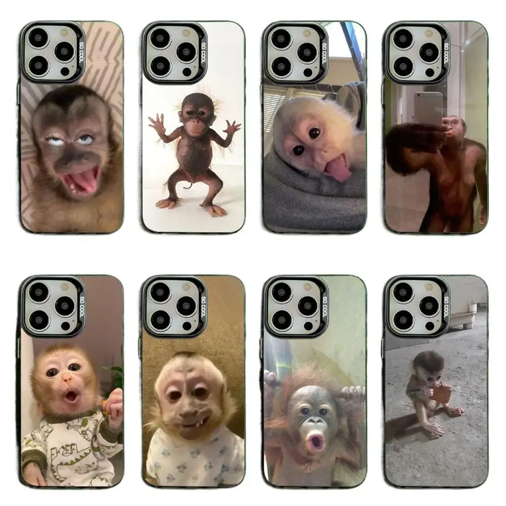 Cute Funny Monkey Black Matte Silicone Protective Casing for iPhone 17-12, Pro Max, Pro Plus & Samsung S25-S23 Smartphones, Cellphone Devices - Shockproof Safety Cover
