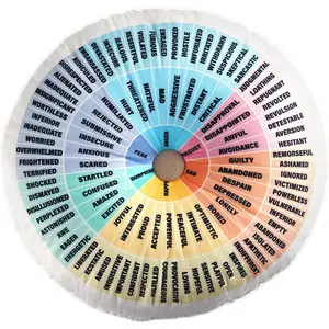 Wheel of Emotions Feelings Pillow Round  Feelings Wheel Emotion Throw Pillow Circle Seating Floor Cushion for Office  Room Sofa Decor Counselor Physical  Gifts(Pastel