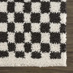 Sample Kieu Black & White Checkered Area Rug