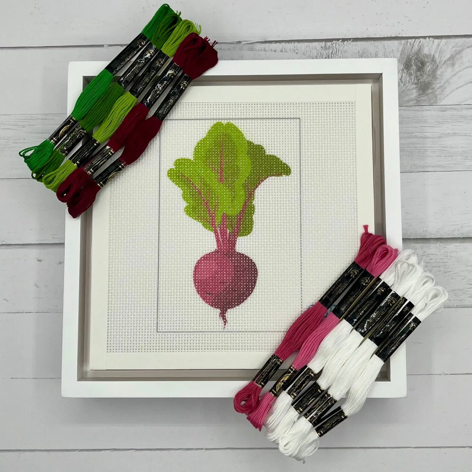 Beet 6x4 Needlepoint Design