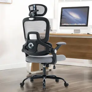 YoYo Casa Ergonomic Office Chair, Mesh Desk Chair with 2D Adjustable Lumbar Support – Relieve Back Pain for Long Workdays Sitting, High Back with 3D Headrest & Armrests for Home Office Comfort, Dark Gray