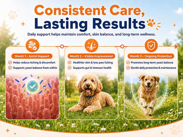 #backtoschool #sohochicCarmelie Yeast Infection Treatment for Dogs, 200 Chews Yeast Balance Healthy Itch Relief, Ear & Paw Odor Care, Allergy Supports, Helps Relieve Yeast Overgrowth,  Chinken Flavor, Safe for All Ages Dogs,back to school