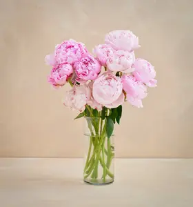 The Peony Bouquet (No Vase) – Fresh Cut Flowers for Delivery – Peonies Are the Perfect Gift for Birthday, Congratulations, Friendship, Thinking of You