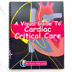 A Visual Guide to Cardiac Critical Care