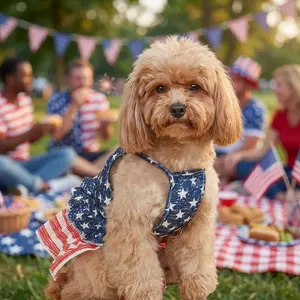 2Pcs 4th of July Dog Outfit Set, American Flag Star Print Halter Tank Top + Striped Skirt, Breathable Mesh Patriotic Pet Clothes for Small Medium Dogs Cats, Independence Day Puppy Outfit for Holiday Party Daily Wear Photoshoot ﻿