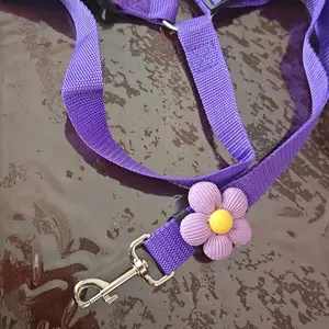 Dog Safety Leash for Vehicles, Pet Car Seatbelt Leash, Dog Vehicle Safety Belt Clip, Gift for Dogs, 1 Piece Universal Harness Straps, Detachable Safety Leash, Leash Included