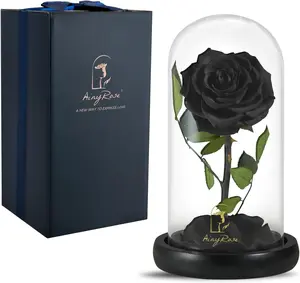 Forever Preserved Real Black Rose Flower Birthday  for Mom Women,Valentines Eternal Flower in Glass Gifts for Mothers Day Christmas Anniversary Birthday (Black)