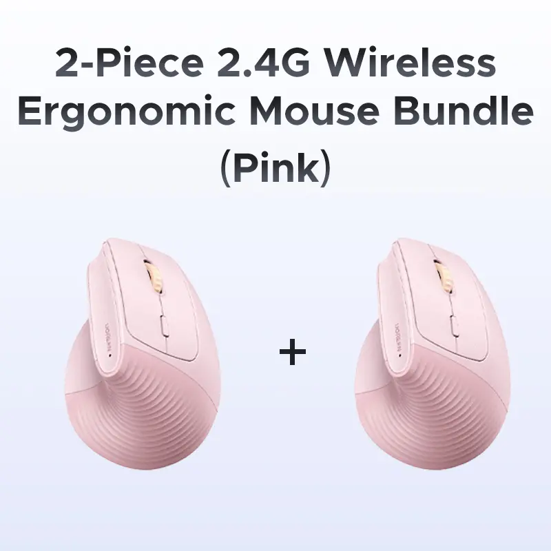 2pcs Pink-2.4G Model