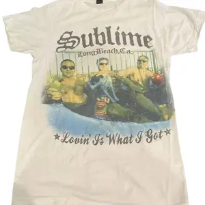 Vintage 90s Band SUBLIME T-Shirt 1997 Rap Rock Band Tour, SUBLIME band 90s shirt, Rock Band Music Shirt, Vintage Graphic Tee