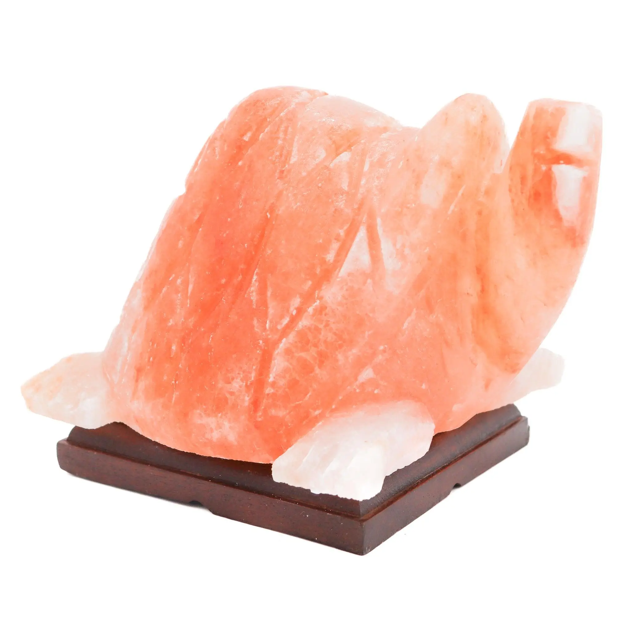Turtle Shape Lamp (9-10lbs) 6" Tall