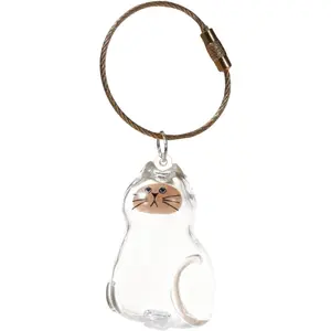 Cat Pet Keepsake Funeral Supplies: DIY Pet Fur Memory Capsule, Memorial Keychain for Cats, Transparent Transparent Material Pets Fur Keepsake, Self-Fill cat Memorial Gift for Pets Lovers (No.1)