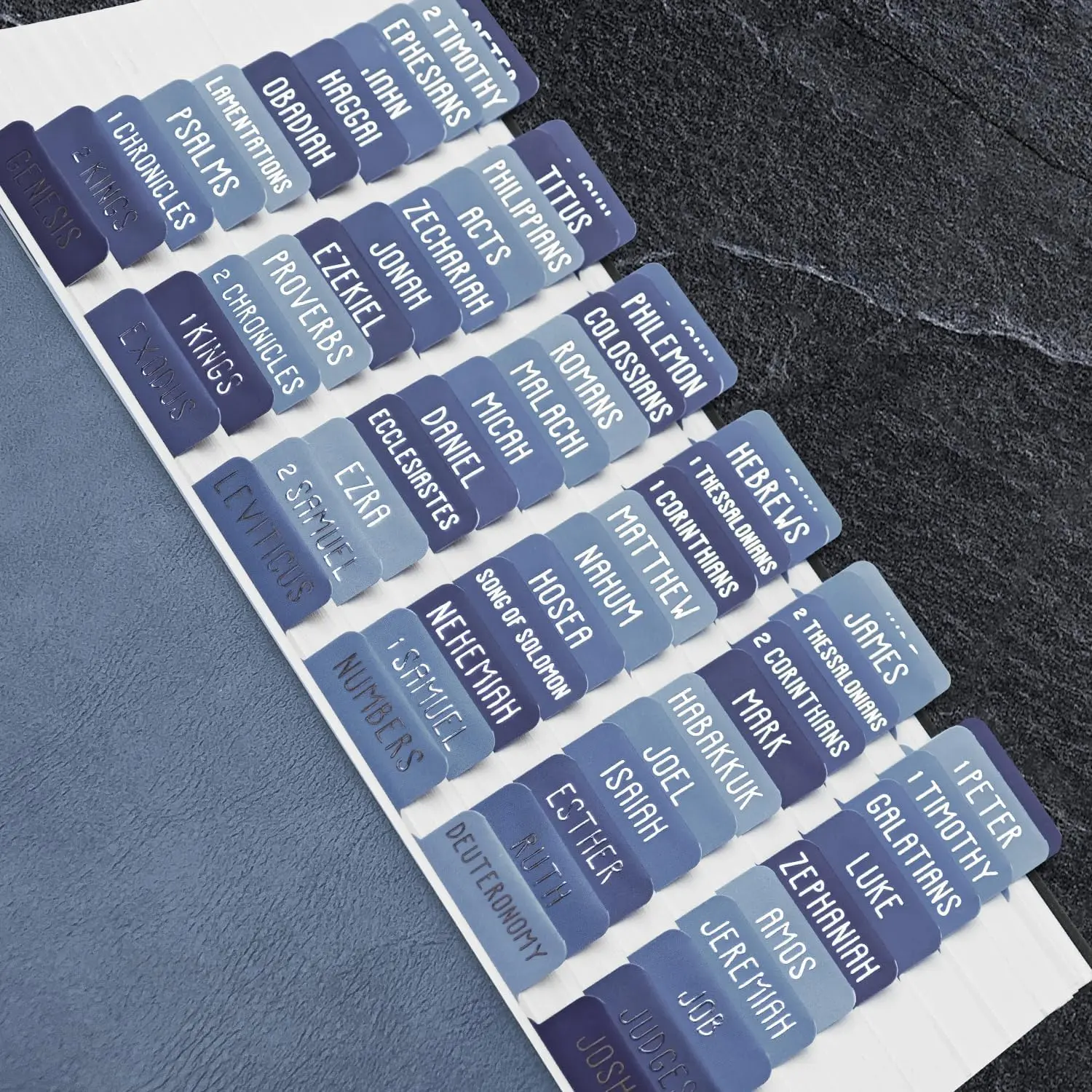 Laminated  Tabs,  Study Supplies, Large Print  Book Tabs for Women and Men, ( Foil Embossed Lettering)  Labels Index Tabs,  Accessories for Easy Navigation(Dusk Blue)