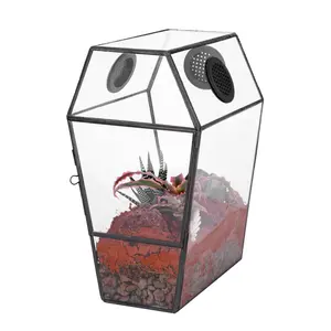 NCYP Gothic Coffin Shape Glass Enclosure with Vent Holes, for Jumping Spider, Snails, Insects, Terrarium Only Box Animal