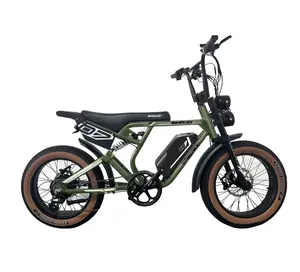 Emojo Electric Bike - Street Rod 750W Motor, 65 Miles Range, Hydraulic Brakes, Dual Led Lights, Sports Outdoor Bike
