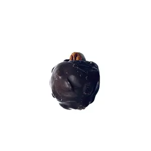 Lurla Dark Mini