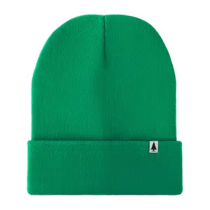 The Kelly Green Classic Beanie