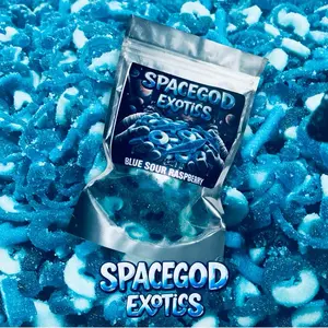 SOUR BLUE RASPBERRY GUMMIES 8oz SPACEGOD Sweet Snack