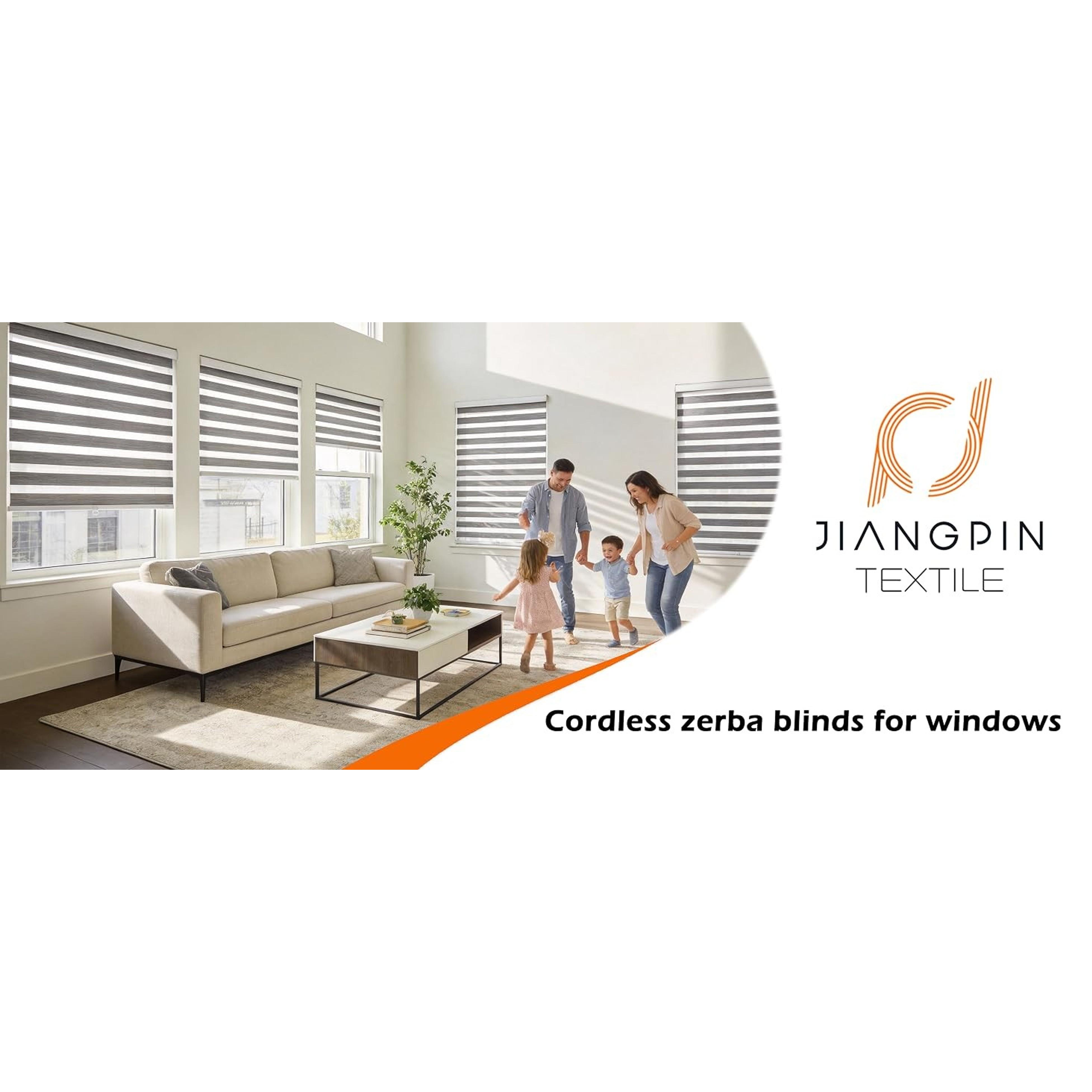 Cordless Zebra Pattern Roller Blind for Indoor Home Windows, Free-Stop Dual Layer Light Filter Sheer Shades (22" W X 72" H, Grey)