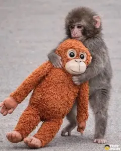 Punch Orangutan Djungeskog Brown Ikea Pillow, 26in Punch Monkey Plush