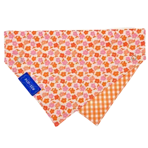 Orange Daisy Dog Collar Bandana, Reversible and Two-Tone
