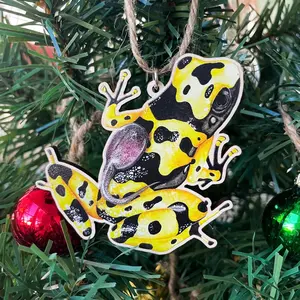 Poison Frog Wooden Ornament