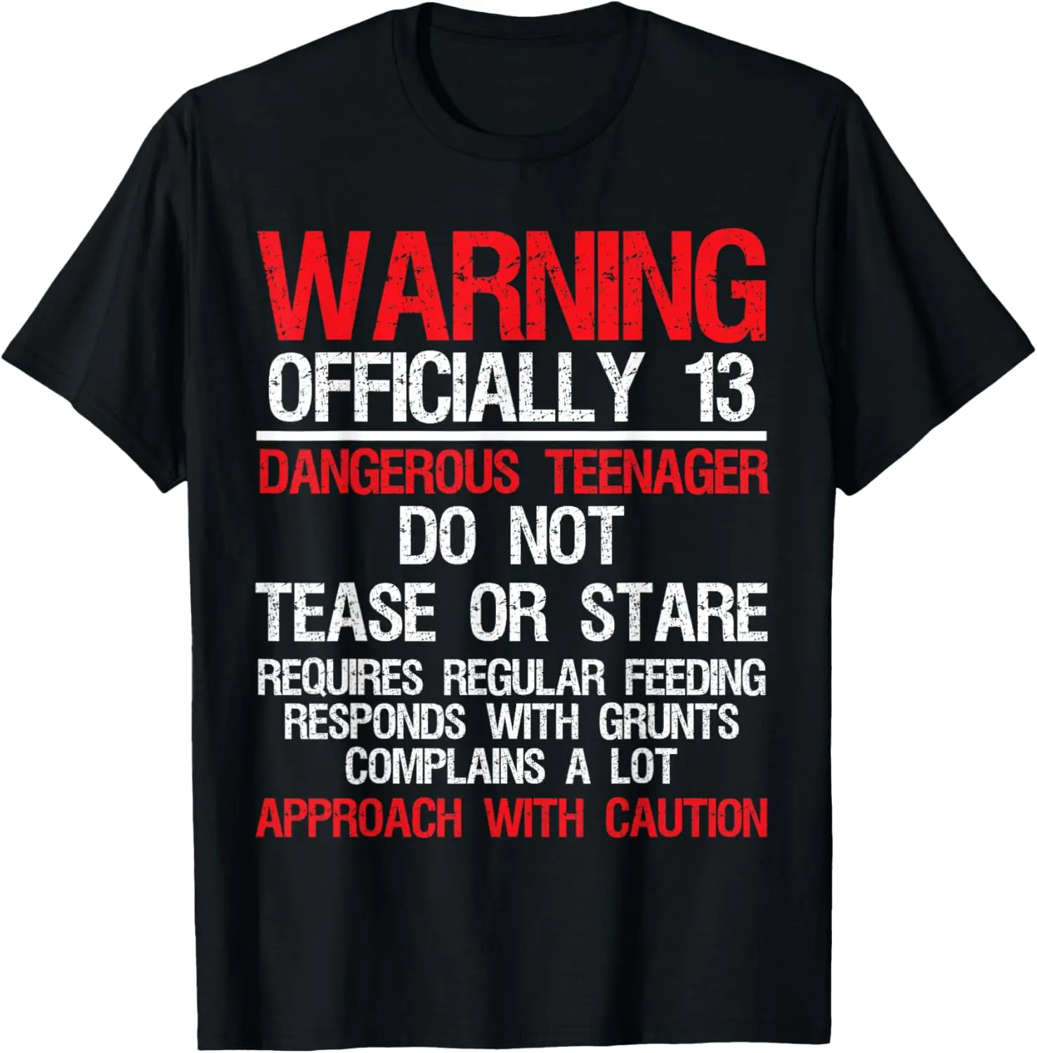 Cotton(pure) 13 Years Old Warning Dangerous Teenager 13th Birthday T-Shirt