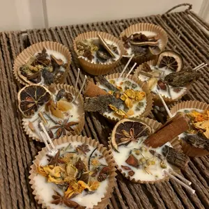 Firestarters w/ Dried Herbs Spices and Flowers Recycled Wax Decorative Fire Starters with Tree Bark and Wick for Easy Lighting