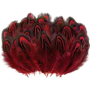 100pcs Red Pheasant Feathers 2-3 Inches Fluffy Spotted Plumage Feather for Dream Catcher Crafts Sewing Clothing Decoration
