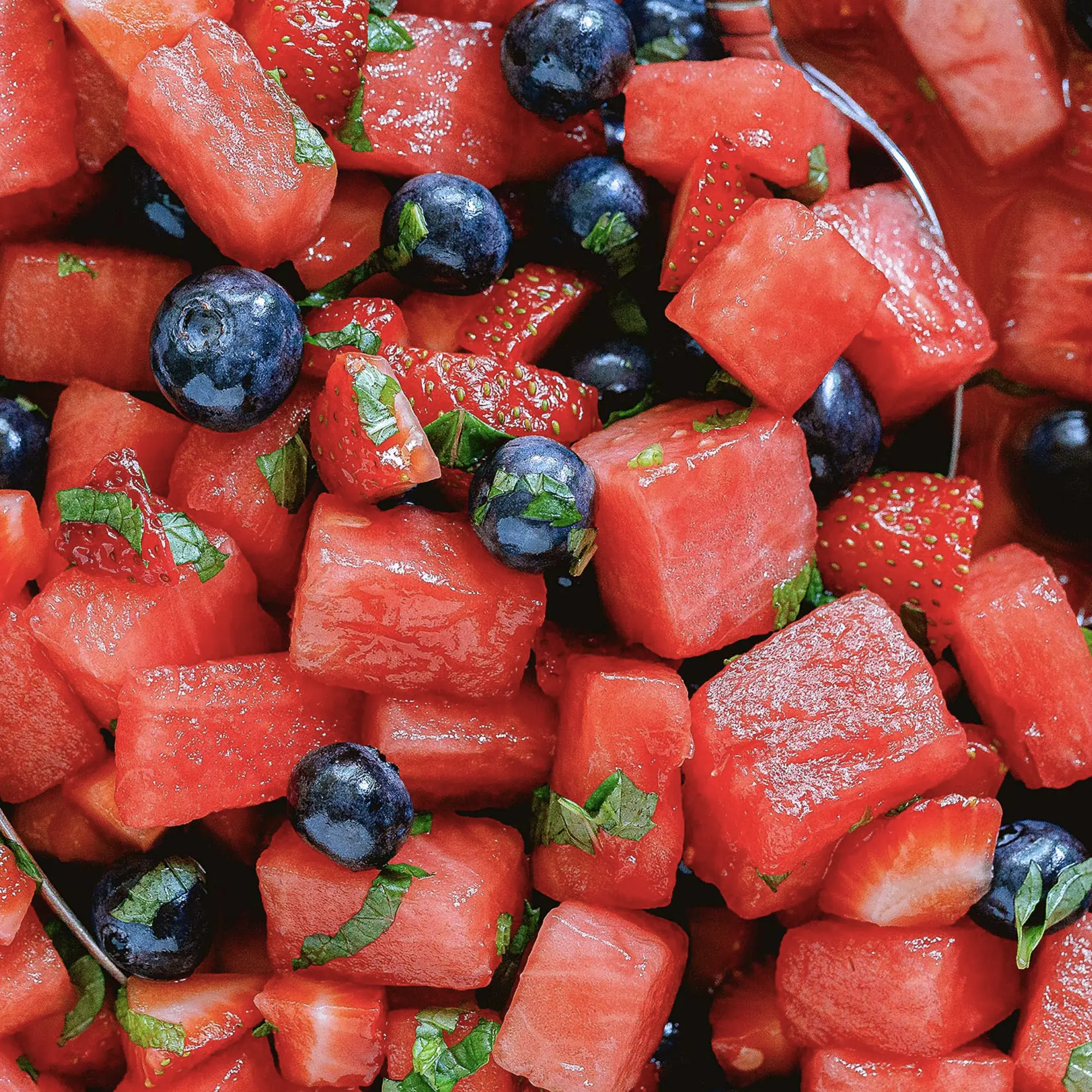 Heirloom Fruit Seed Bundle - Grow Heirloom Fruit - 50 Crimson Sweet Watermelon 75 Top Mark Melon 75 Green Flesh Honeydew 175 Northern Highbush Blueberry 75 Alpine Alexandria Strawberry 40 Jubilee 50 Tendersweet Orange Seeds