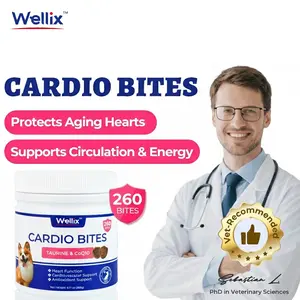 Wellix 260-Count Dog Cardio Bites with CoQ10 Promotes Heart Health Vitality Provides Antioxidant Energy Boost Chicken Flavor