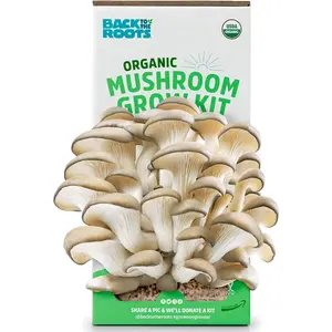 Organic Mushroom Grow Kit – Mini Indoor Garden by JustAddWaterCo