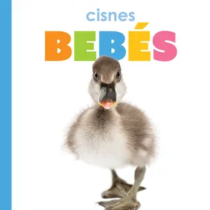 Cisnes bebés