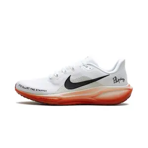 Air Zoom Pegasus 41 "Eliud Kipchoge" HJ7037 100
