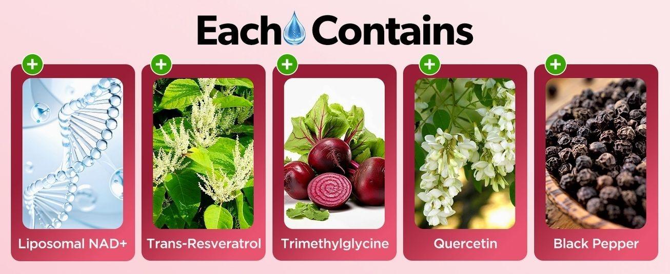 NAD Liquid Supplement for Women, Liposomal NAD+ Drops 1200MG with NAD Plus Resveratrol, Tmg, Quercetin, Anti-Aging, Cell Regeneration, Energy & Metabolism Support, Strawberry Flavor