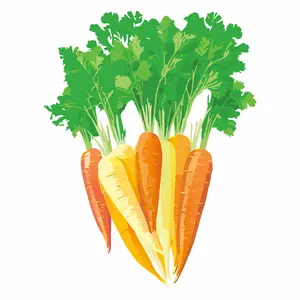 Rainbow Carrot