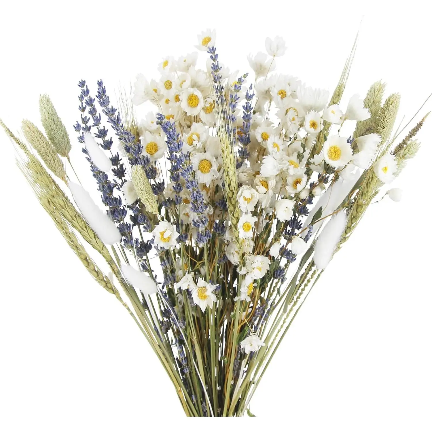 Dried Flowers Bouquet Dried Daisy Flowers Natural Lavender Dried Flowers Bunny Tails Gerber Daisies Flowers Wheat Stalks Floral Arrangements for Wedding Table Centerpiece Decor Farmhouse DIY