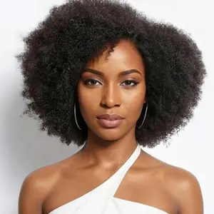 250% Density Afro Kinky Curly Lace Front Wig Natural Color Afro Bob Human Hair Natural Hairline 13X4X2 Short Human Hair Wigs for Women