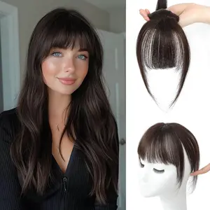 Vasilia Clip In Bangs Real Human Hair Bangs Hair Clip 360° Natural Fringe Extensions with Invisible Clips for Instant Hair Makeover Hairpieces Natural Look, Lightweight & Reusable Hairpiece for Womene Clip in Hair Extensions for Women Daily