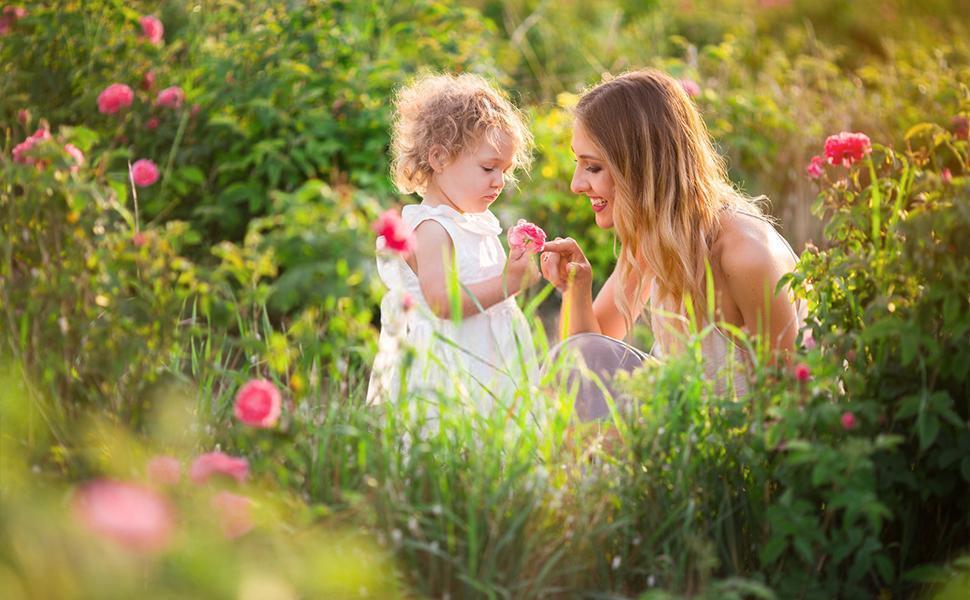 Mix Dwarf Bonsai Fruit Tree Seeds for Planting, 50+ Lemon Tree Seeds 50+ Cherry Tree Seeds 50+ Orange Tree Seeds 50+ Apple Seeds, 4 Variety Individual Packs, Organic Heirloom Fruit Seeds Mix Dwarf Bonsai Fruit Tree Seeds for Planting, 50+ Lemon Tree Seeds 50+ Cherry Tree Seeds 50+ Orange Tree Seeds 50+ Apple Seeds, 4 Variety Individual Packs, Organic Heirloom Fruit Seeds