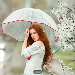 Clear Bubble Umbrella See Through, Rain&Windproof Umbrella Perfect For Weddings, Prom, Graduation And Outdoor Events Automatic Open, Clear Dome With A 47 Inch Arc, For Men And Women Of All Ages 1 PackDetails