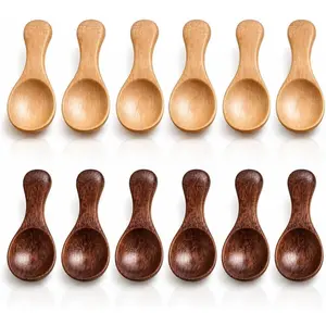 12 Pieces Small Wooden Spoon, SourceTon 3.35 Inches Salt Spoon Honey Coffee Tea Sugar Salt Jam Mustard Ice Cream Milk Powder Spoons